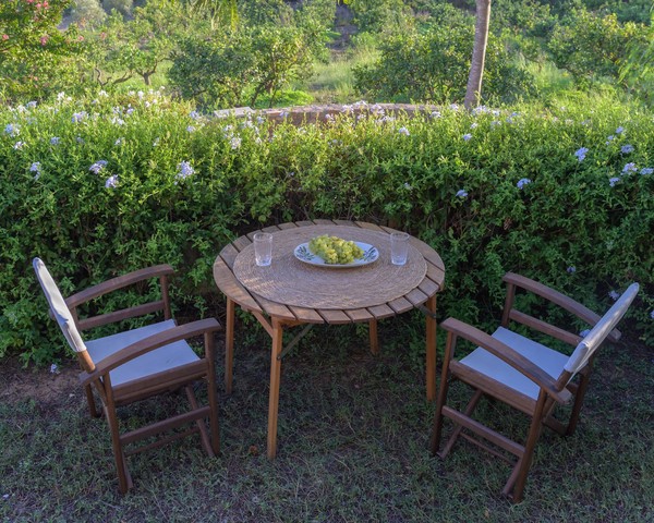 Detail of the garden