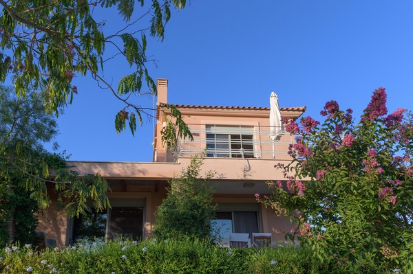 House view from the garden